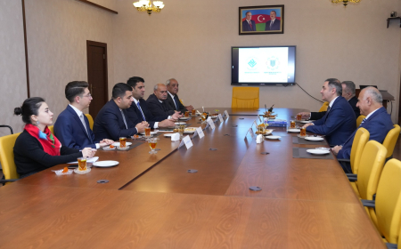 NDU ilə Hüquq və İnsan Haqları İnstitutu arasında görüş keçirilib 