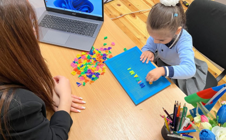 Şirvan-Salyan regionunda 15 şagird inklüziv təhsilə cəlb olunub  