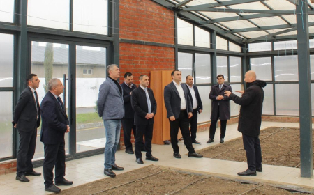 Cəlilabad Peşə Təhsil Mərkəzində aqrar sahə əməkdaşlığı müzakirə olunub 