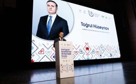 Nazir müavini: Dövlət sektorunda könüllülüyün əhəmiyyəti artıb 