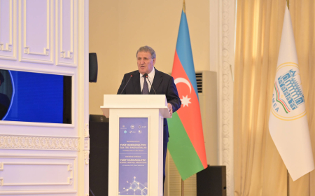 İsa Həbibbəyli: Azərbaycan dilinin qrammatikası yenidən yazılır