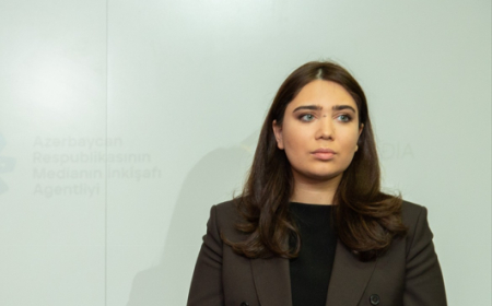 Uşaqların inkişafı üzrə strategiyada media savadlılığının inteqrasiyası araşdırılır - Departament direktoru 