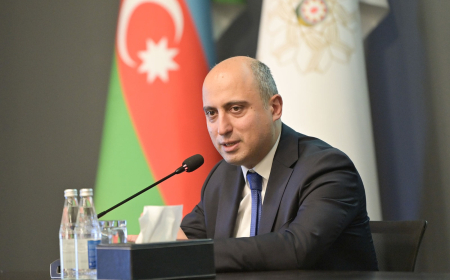 Nazir Gürcüstandakı soydaşlarımızın ali təhsil imkanlarından danışdı 