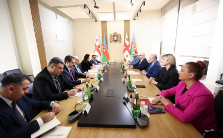 Emin Əmrullayev Gürcüstanın təhsil, elm və gənclər naziri ilə görüşüb 