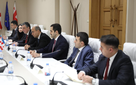 Elm və təhsil naziri Gürcüstan Parlamentinin Təhsil, elm və gənclərlə iş komitəsinin sədri ilə görüşüb 