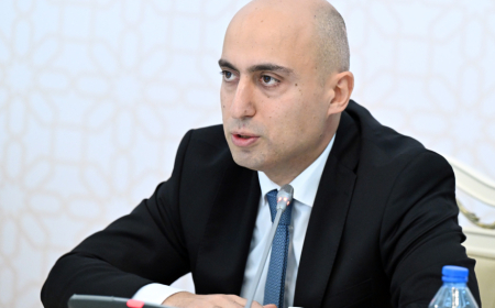 Emin Əmrullayev: Təhsilalanın Azərbaycan dilini mükəmməl bilməsi vacibdir 