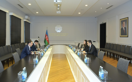 Həsən Həsənli Özbəkistanın ali təhsil, elm və innovasiyalar nazirinin müşaviri ilə görüşüb 