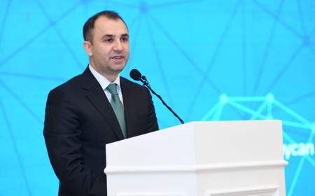 Azərbaycan məktəbi inkişaf üçün böyük potensiala malikdir – Nazir müavini 