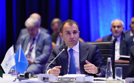 Kənan Kərimzadə: Təhsil islahatlarının mərkəzində Azərbaycan müəllimi dayanır