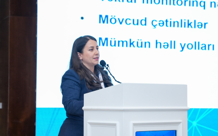 Aysel Əzimova: Keyfiyyət monitorinqlərinin əsas funksiyası real vəziyyəti dəyərləndirməkdir 