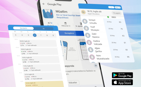 Müəllimlər üçün yeni mobil tətbiq istifadəyə verilib 