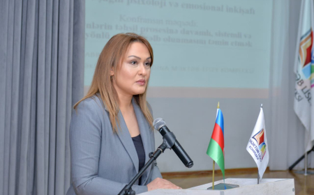 Günel Səfərova: Çox vaxt valideyn məktəbə yalnız problem yarananda gəlir 