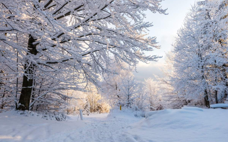 Qış fəsli Azərbaycana bu tarixdə daxil olacaq 
