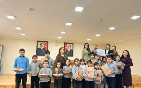 Tovuzda şagirdlər üçün STEAM ustad dərs keçirilib 