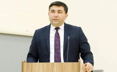 Təcrübəli müəllimlər də könüllülük fəaliyyətinə cəlb oluna bilər - Millət vəkili