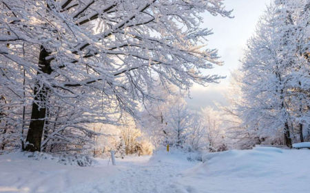 Şimal yarımkürəsində astronomik qış başlayır 