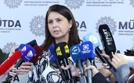 “Rəqəmsal məktəb” platforması öyrənmə, ünsiyyət və əməkdaşlıq üçün nəzərdə tutulub – İlahə Rəsulova