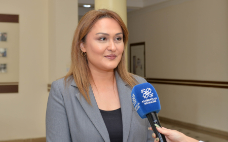 Günel Səfərova: İttiham xarakterli yanaşma bizi həll yolundan uzaqlaşdırır 