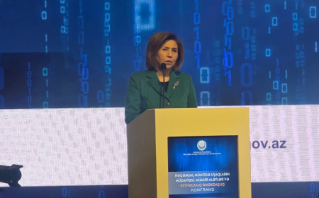 Rəqəmsal transformasiya mühitində heç bir uşaq diqqətdən  kənarda qalmamalıdır - Bahar Muradova