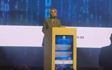 Uşaqların internetə çıxışının məhdudlaşdırılması ilə bağlı ciddi addımlar atılacaq - Mahinur Özdemir