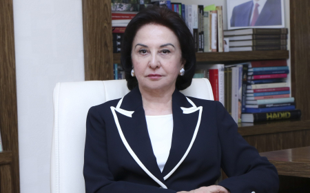“Şəhərsalma və Memarlıq İli” ali təhsil və elmi-tədqiqat fəaliyyətinin inkişafına mühüm töhfə verəcək – Gülçöhrə Məmmədova