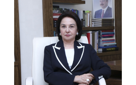 “Şəhərsalma və Memarlıq İli” ali təhsil və elmi-tədqiqat fəaliyyətinin inkişafına mühüm töhfə verəcək – Gülçöhrə Məmmədova