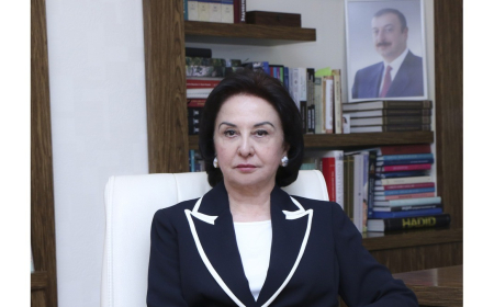“Şəhərsalma və Memarlıq İli” ali təhsil və elmi-tədqiqat fəaliyyətinin inkişafına mühüm töhfə verəcək – Gülçöhrə Məmmədova