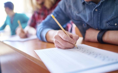 Təhsil tələbə krediti üzrə ən çox vəsait ayrılan ixtisasların adları açıqlanıb 