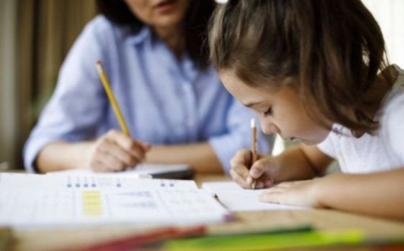 Bakı üzrə fərdi təhsil alan şagirdlərin sayı açıqlanıb 