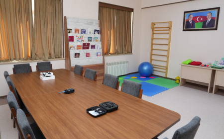 Universitetlərdə psixoloji xidmət strukturlarının yaradılması – NDU-da müasir yanaşma