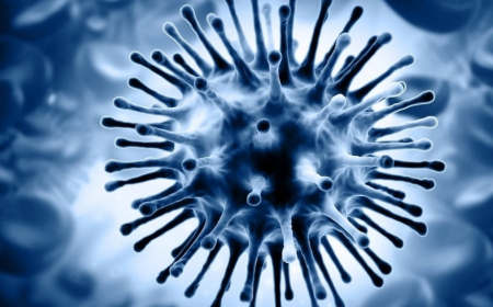 İlk dəfə qrip virusunun hüceyrələrimizə daxil olduğu görüntülənib