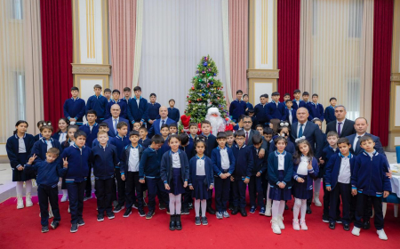 Xüsusi qayğıya ehtiyacı olan uşaqlar üçün yeni il şənliyi təşkil olunub 