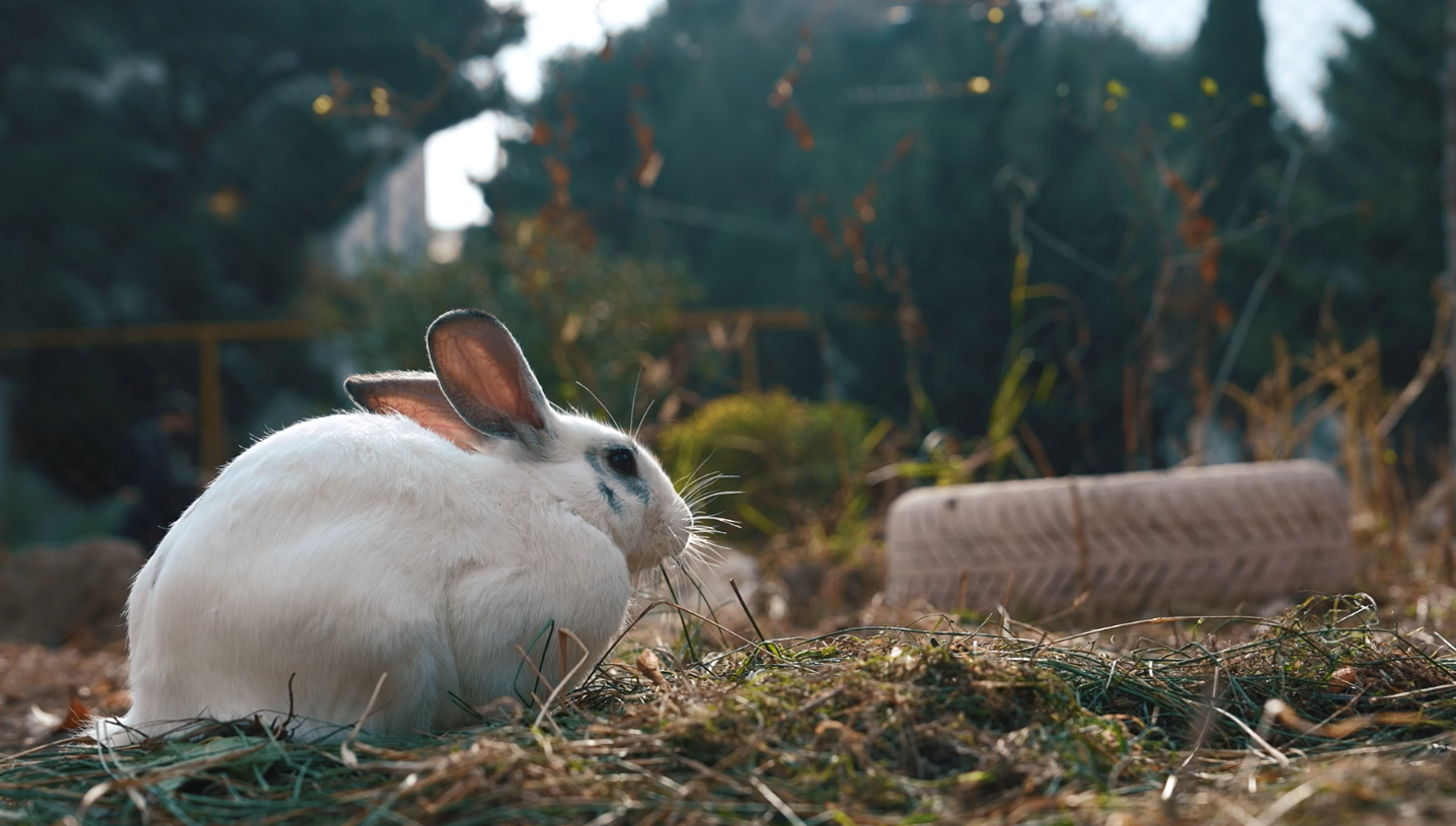 Qaranlığa işıq saçan barmaqlar: