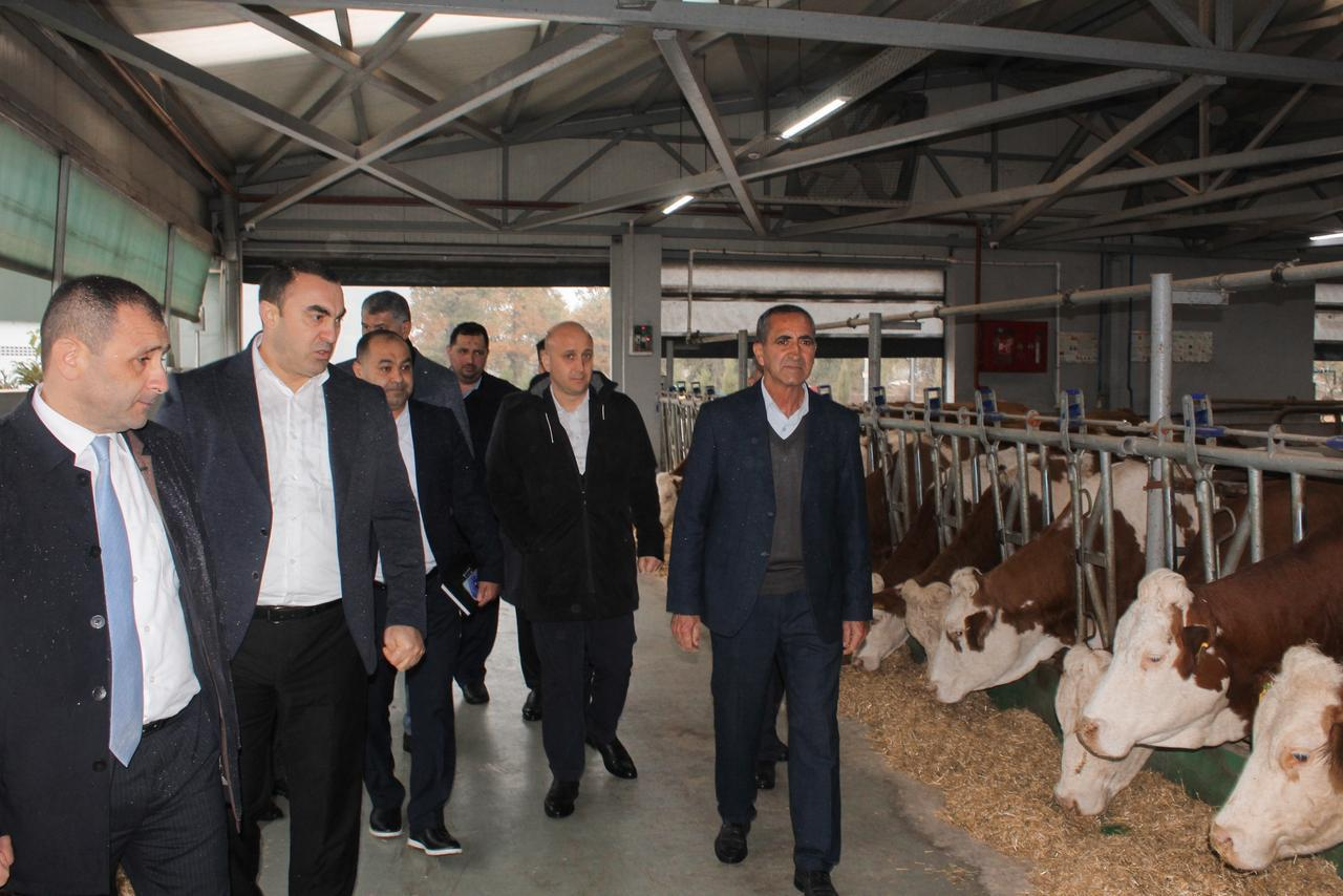 Cəlilabad Peşə Təhsil Mərkəzində aqrar sahə əməkdaşlığı müzakirə olunub