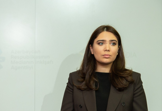 Uşaqların inkişafı üzrə strategiyada media savadlılığının inteqrasiyası araşdırılır - Departament direktoru