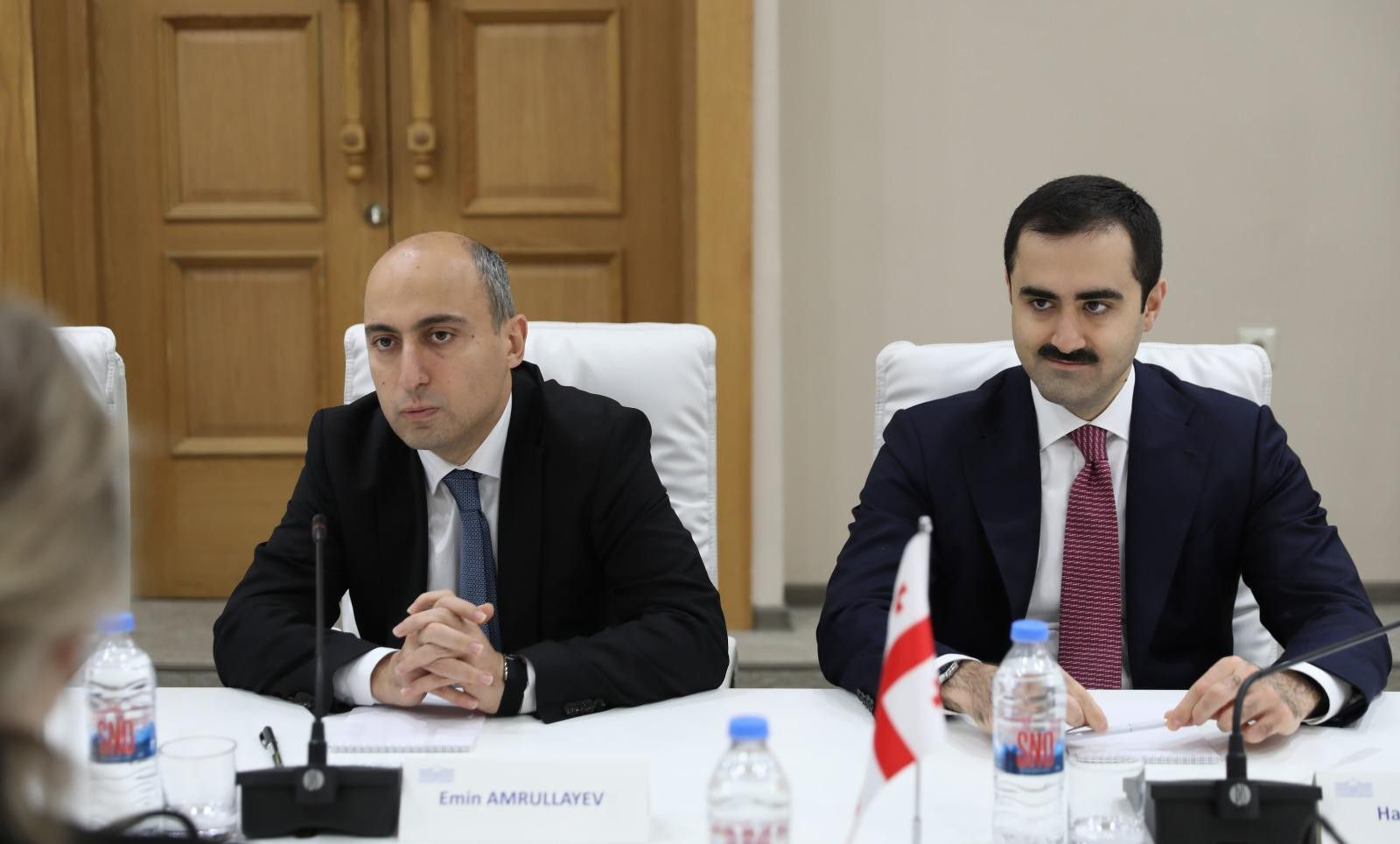 Elm və təhsil naziri Gürcüstan Parlamentinin Təhsil, elm və gənclərlə iş komitəsinin sədri ilə görüşüb