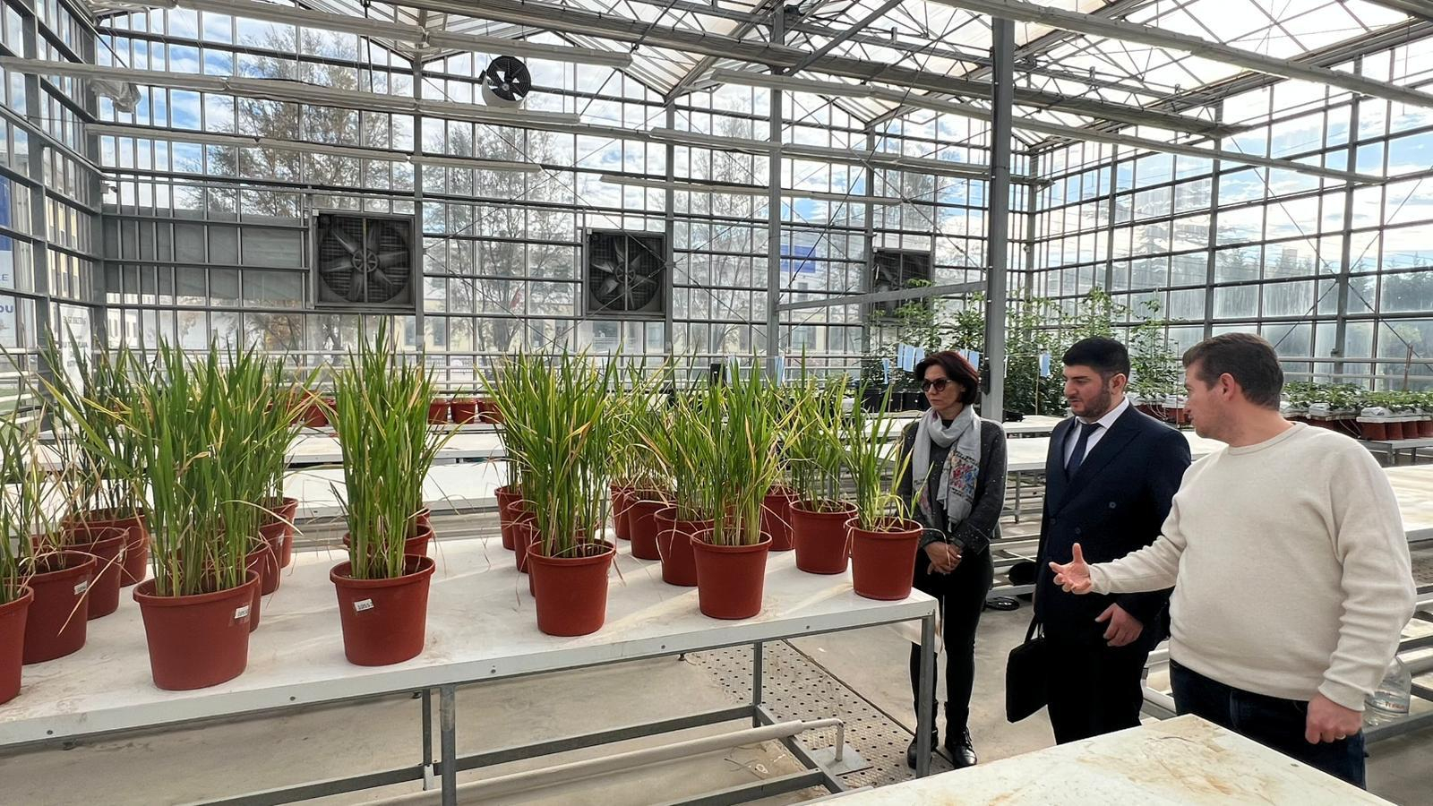 ADNSU ilə Gebze Texniki Universiteti arasında əməkdaşlıq imkanları müzakirə edilib