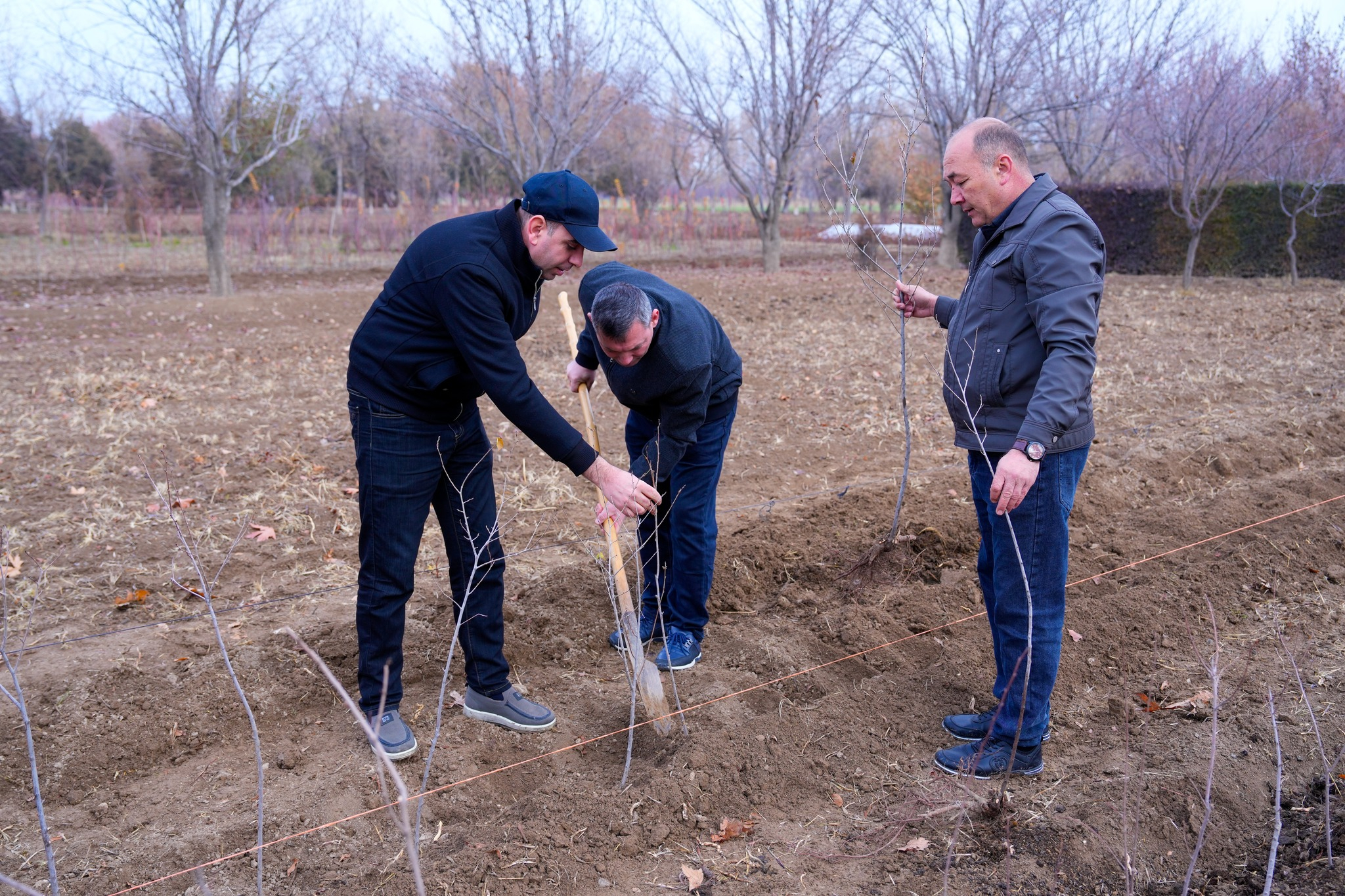 NDU-da ağacəkmə aksiyası keçirilib