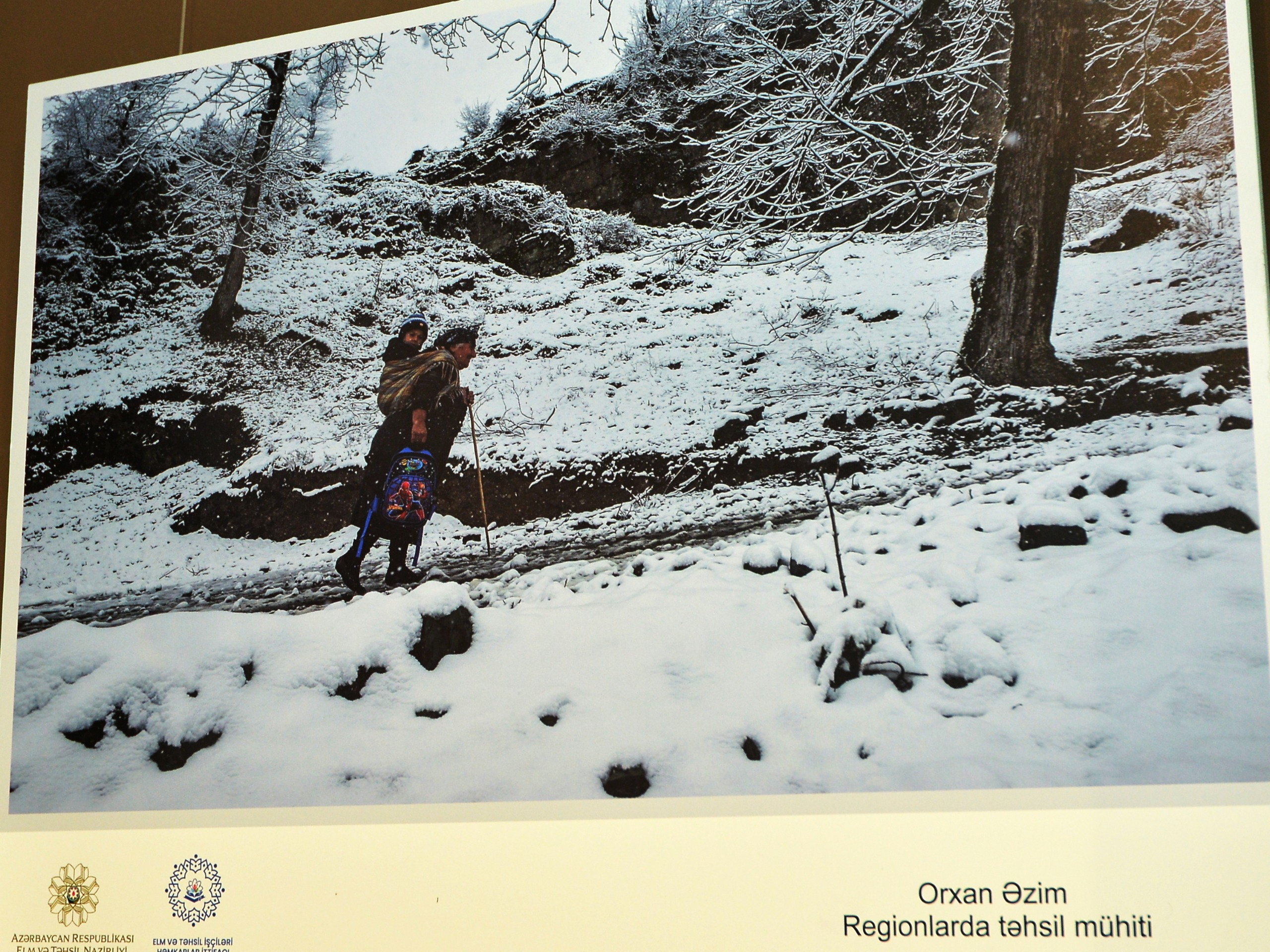 Təhsilə fotonun gözü ilə baxanlar mükafatlandırıldı 