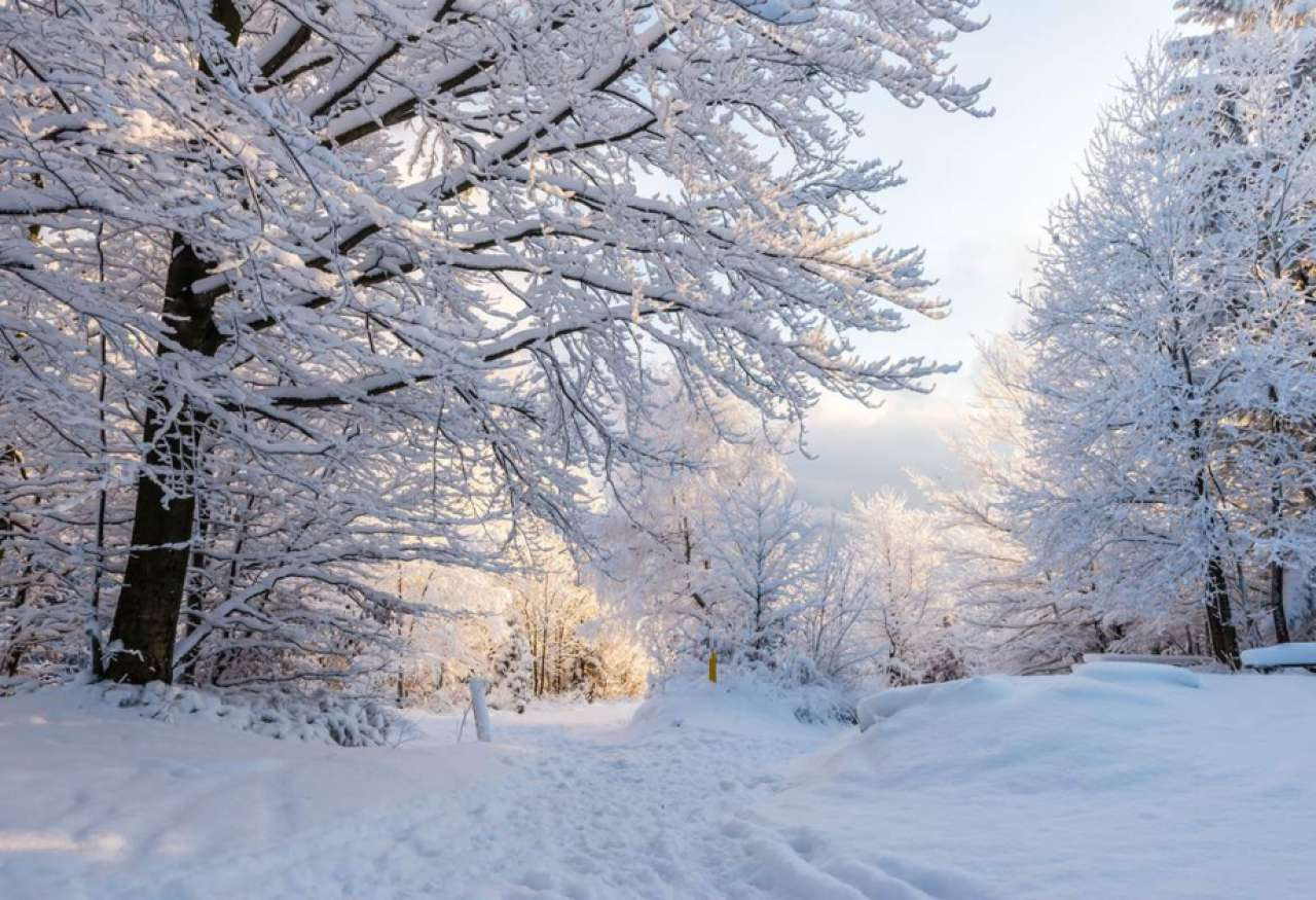 Şimal yarımkürəsində astronomik qış başlayır