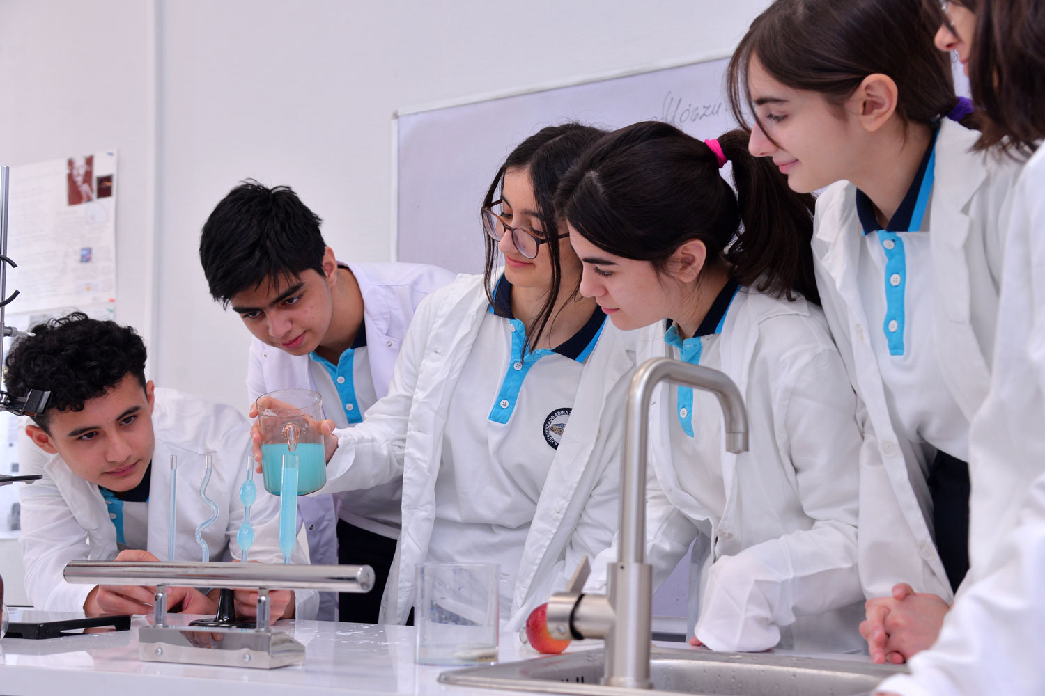 Yeni təmayül tədris modeli bu məktəblərdə tətbiq olunur