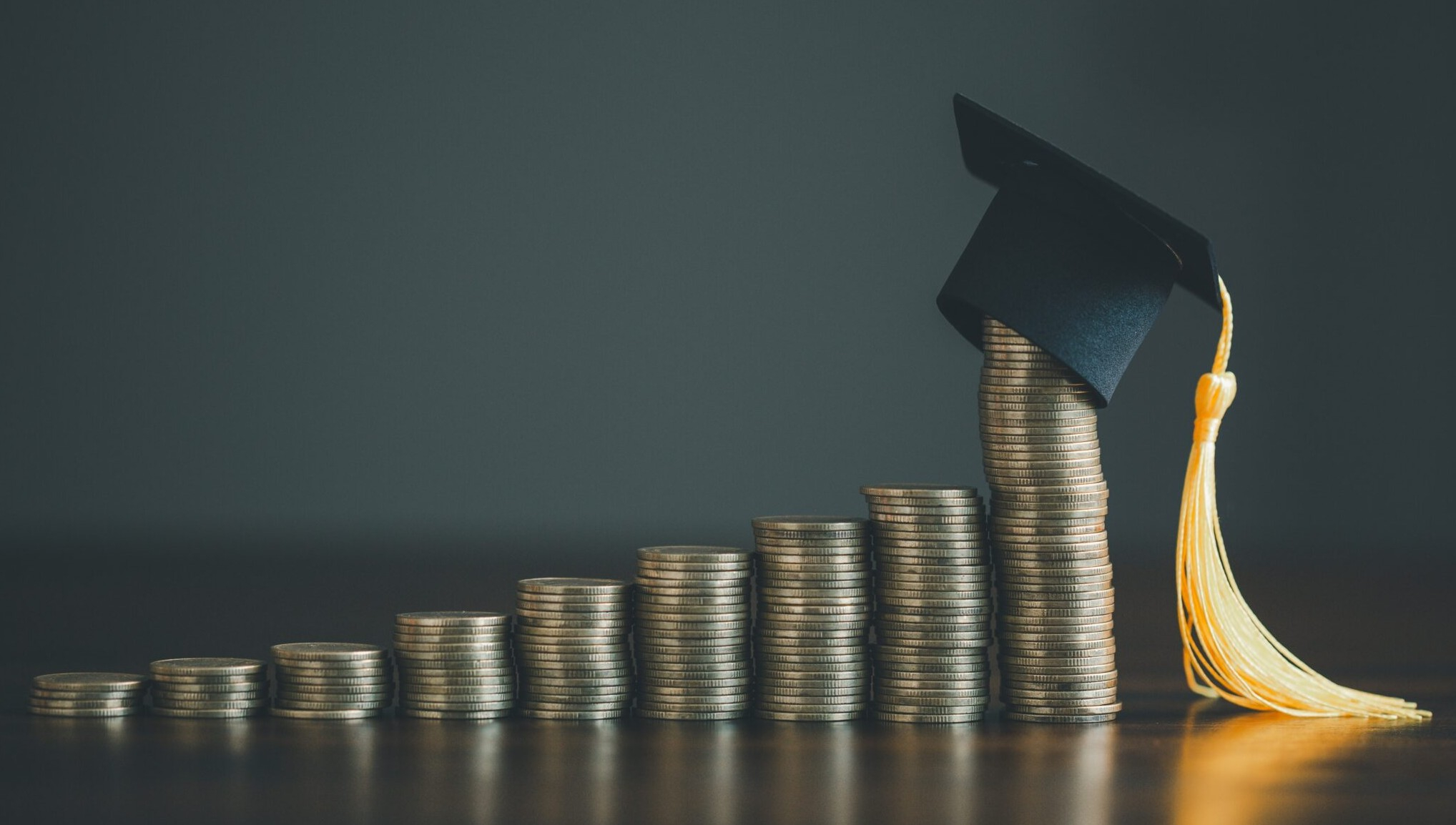 Təhsil tələbə kreditlərinə xərclənən vəsaitin miqdarı açıqlanıb