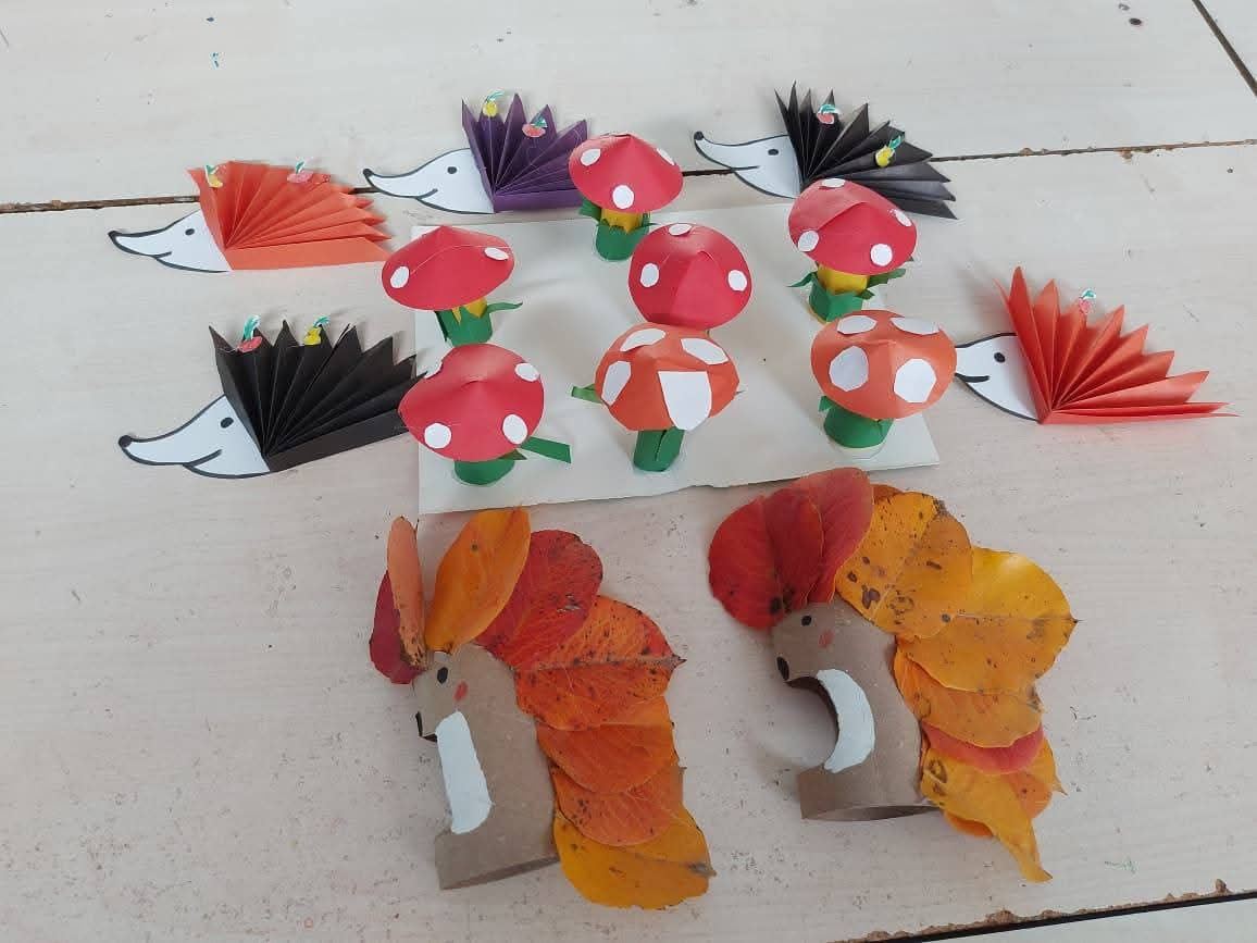 Şirvan bölgəsində STEAM dərslərinə cəlb edilən şagirdlərin sayı məlum olub 