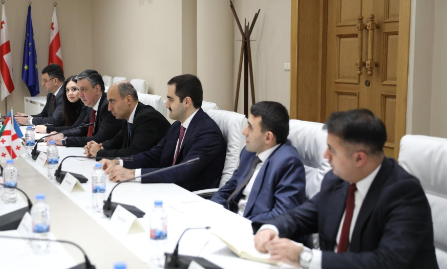 Elm və təhsil naziri Gürcüstan Parlamentinin Təhsil, elm və gənclərlə iş komitəsinin sədri ilə görüşüb