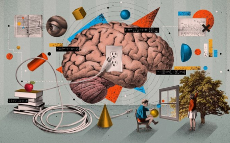 2025-in ən uğurlu 10 təhsil tədqiqatı 