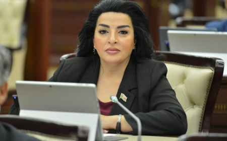 Millət vəkili: Təhsil infrastrukturuna yatırılan investisiyalar insan kapitalının inkişafına təkan verir 