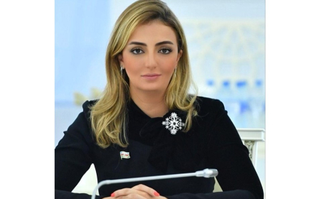 “Xaricdə təhsil almış gənclər elmi islahatların keyfiyyət mərhələsinə keçidi üçün vacib resursdur” – Deputat