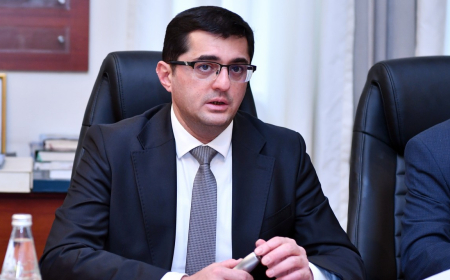 Nazirlik bizim yerimizə elmlə məşğul olmalı deyil - Rektor