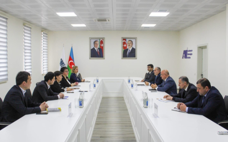 Daşkənd Dövlət Texniki Universitetinin nümayəndələri ADNSU-da olublar