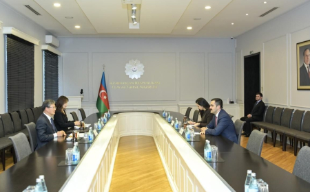 Nazir müavini Koreya Respublikasının ölkəmizdəki səfiri ilə görüşüb 